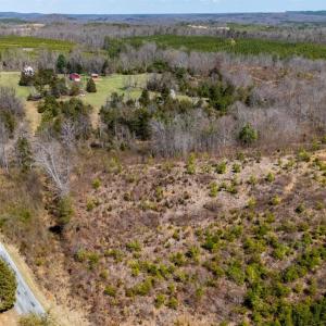 Photo #19 of Norwood Road, Gladstone, VA 26.8 acres