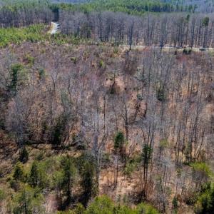 Photo #30 of Norwood Road, Gladstone, VA 26.8 acres