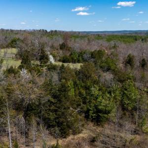 Photo #23 of Norwood Road, Gladstone, VA 26.8 acres