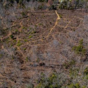 Photo #14 of Norwood Road, Gladstone, VA 26.8 acres