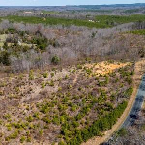 Photo #20 of Norwood Road, Gladstone, VA 26.8 acres