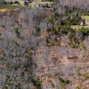 Photo #16 of Norwood Road, Gladstone, VA 26.8 acres