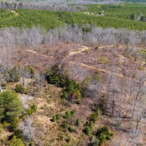 Photo #32 of Norwood Road, Gladstone, VA 26.8 acres