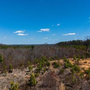 Photo #21 of Norwood Road, Gladstone, VA 26.8 acres