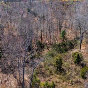Photo #28 of Norwood Road, Gladstone, VA 26.8 acres