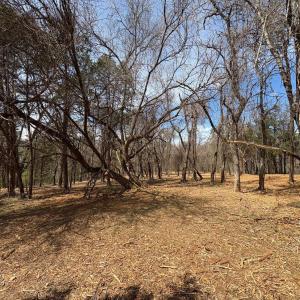Photo #4 of Dulwich Drive, Amherst, VA 50.0 acres