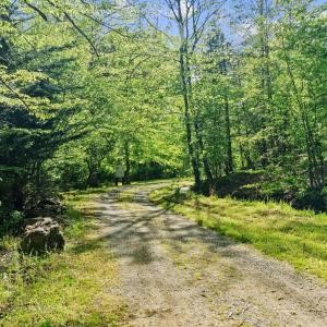Photo #41 of 4067 Dickerson Mill Road, Bedford, VA 73.5 acres