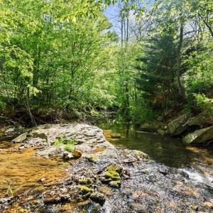 Photo #39 of 4067 Dickerson Mill Road, Bedford, VA 73.5 acres