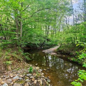 Photo #38 of 4067 Dickerson Mill Road, Bedford, VA 73.5 acres