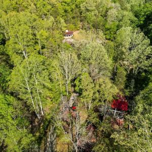 Photo #80 of 4067 Dickerson Mill Road, Bedford, VA 73.5 acres