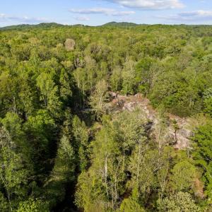 Photo #81 of 4067 Dickerson Mill Road, Bedford, VA 73.5 acres