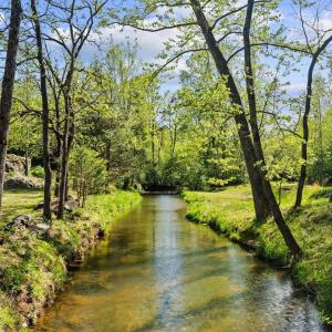 Photo #57 of 4067 Dickerson Mill Road, Bedford, VA 73.5 acres
