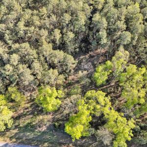 Photo #4 of 305 Runaway Bay Road, Lynch Station, VA 5.3 acres