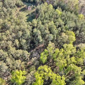 Photo #7 of 305 Runaway Bay Road, Lynch Station, VA 5.3 acres