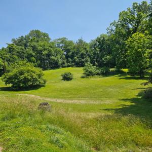 Photo #4 of Main Street, Bedford, VA 1.5 acres