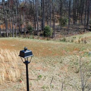 Photo #12 of 202 Waughs Landing Drive, Lynchburg, VA 0.2 acres