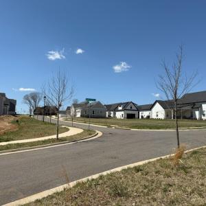 Photo #6 of 202 Waughs Landing Drive, Lynchburg, VA 0.2 acres