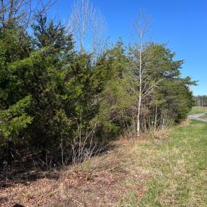 Photo #2 of 2345 Easome Road, Hurt, VA 2.7 acres