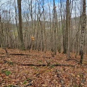 Photo #8 of Major Graham Road, Wytheville, VA 23.8 acres
