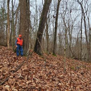 Photo #7 of Major Graham Road, Wytheville, VA 23.8 acres