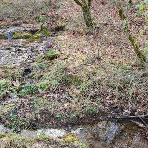 Photo #3 of Major Graham Road, Wytheville, VA 23.8 acres