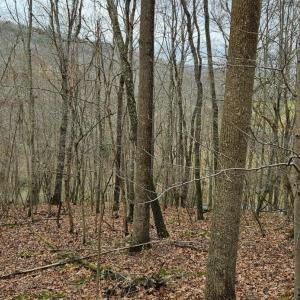 Photo #10 of Major Graham Road, Wytheville, VA 23.8 acres
