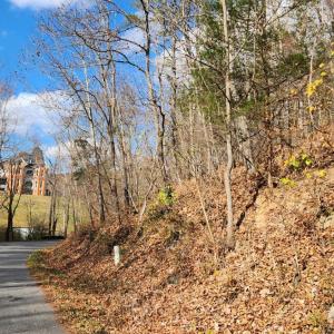 Photo #11 of Major Graham Road, Wytheville, VA 23.8 acres