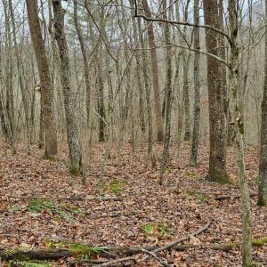 Photo #6 of Major Graham Road, Wytheville, VA 23.8 acres