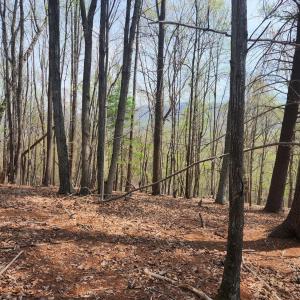 Photo #11 of 303 Harrison Creek Road, Amherst, VA 18.0 acres