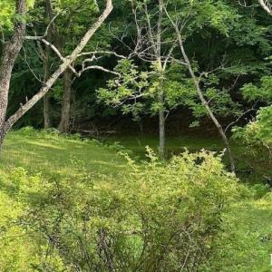 Photo #8 of 303 Harrison Creek Road, Amherst, VA 18.0 acres