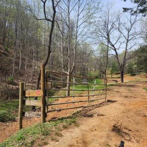 Photo #4 of 303 Harrison Creek Road, Amherst, VA 18.0 acres