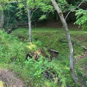 Photo #7 of 303 Harrison Creek Road, Amherst, VA 18.0 acres