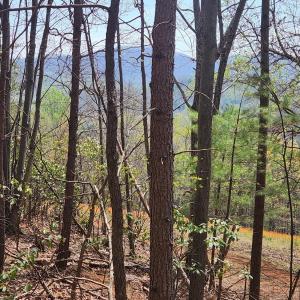 Photo #12 of 303 Harrison Creek Road, Amherst, VA 18.0 acres