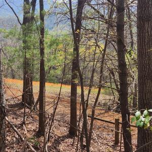 Photo #2 of 303 Harrison Creek Road, Amherst, VA 18.0 acres