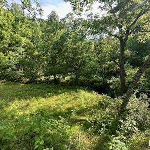 Photo #5 of 303 Harrison Creek Road, Amherst, VA 18.0 acres