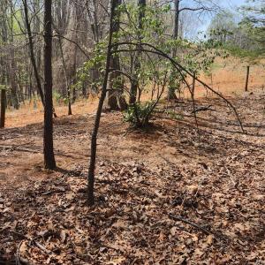 Photo #6 of 303 Harrison Creek Road, Amherst, VA 18.0 acres