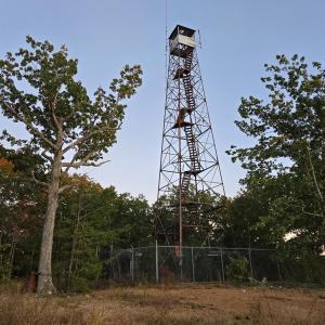 Photo #10 of Mountain Creek Rd, Green Bay, VA 42.3 acres