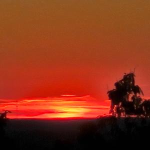 Photo #7 of Mountain Creek Rd, Green Bay, VA 42.3 acres