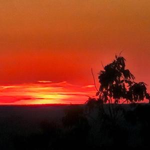 Photo #8 of Mountain Creek Rd, Green Bay, VA 42.3 acres