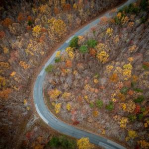 Photo #13 of Mountain Creek Rd, Green Bay, VA 42.3 acres