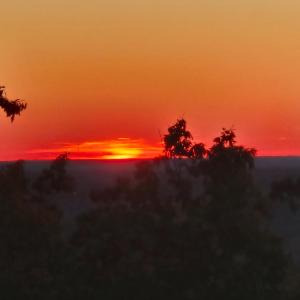 Photo #6 of Mountain Creek Rd, Green Bay, VA 42.3 acres