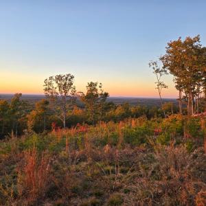 Photo #3 of Mountain Creek Rd, Green Bay, VA 42.3 acres