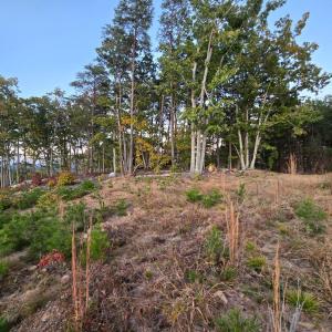 Photo #12 of Mountain Creek Rd, Green Bay, VA 42.3 acres