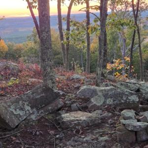 Photo #9 of Mountain Creek Rd, Green Bay, VA 42.3 acres