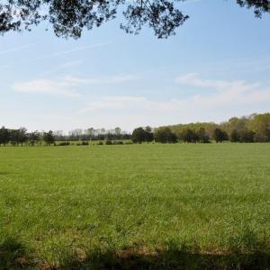 Photo #9 of Cedar Lane, Farmville, VA 103.7 acres