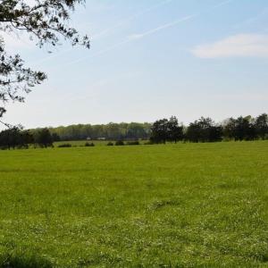 Photo #10 of Cedar Lane, Farmville, VA 103.7 acres