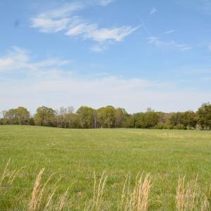 Photo #1 of Cedar Lane, Farmville, VA 103.7 acres