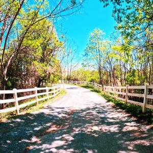 Photo #2 of 1024 Riley Run, Forest, VA 18.4 acres