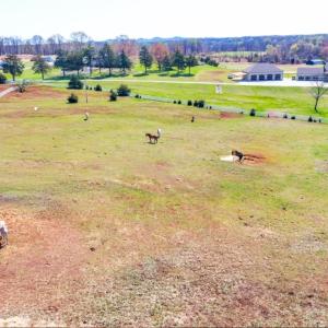 Photo #22 of 1024 Riley Run, Forest, VA 18.4 acres