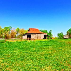 Photo #14 of 1024 Riley Run, Forest, VA 18.4 acres